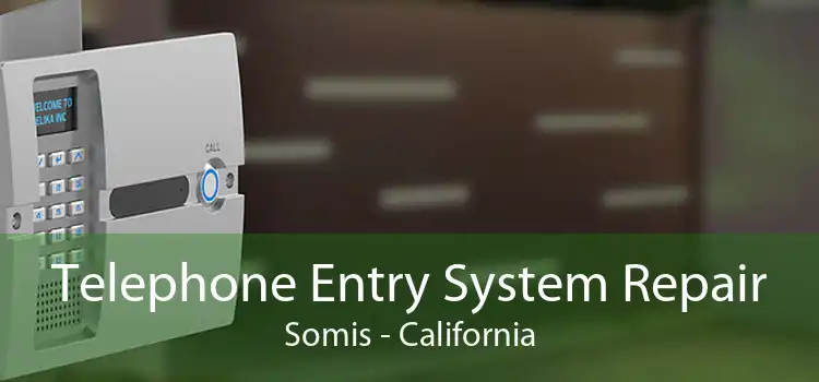 Telephone Entry System Repair Somis - California