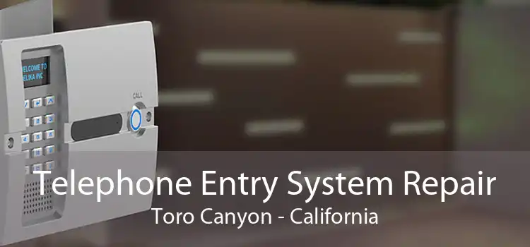 Telephone Entry System Repair Toro Canyon - California