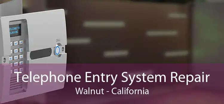 Telephone Entry System Repair Walnut - California