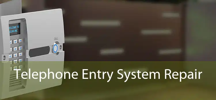 Telephone Entry System Repair 